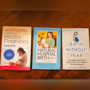 Pregnancy and Birthing Book Bundle